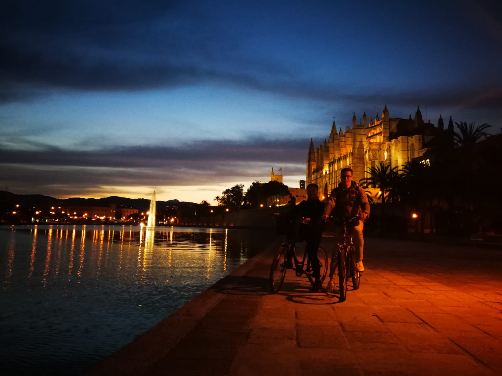 PALMA BY NIGHT - Guided Bike Tours & Bike and e-scooter rental in Palma 