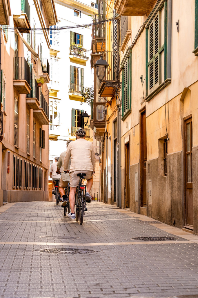 PalmaBicycleTours169