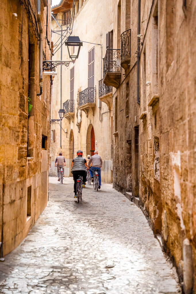 PalmaBicycleTours38